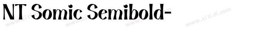 NT Somic Semibold字体转换